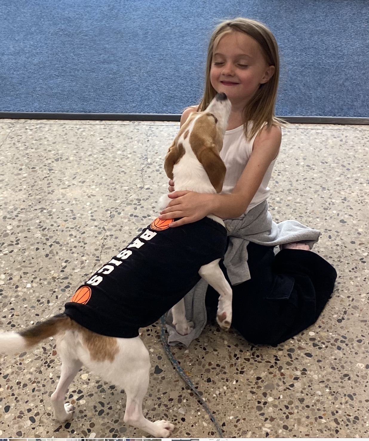 Georgia - Basics Wonder Dog